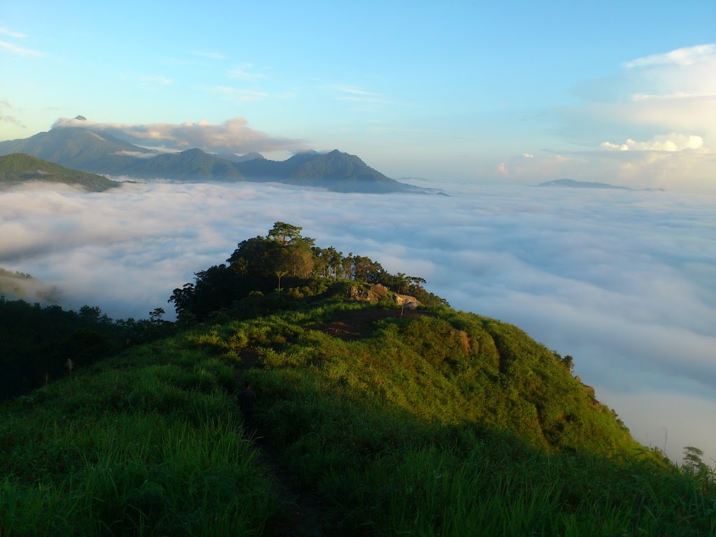 Bukit Jamur Bengkayang: Pesona Perbukitan di Kalimantan Barat