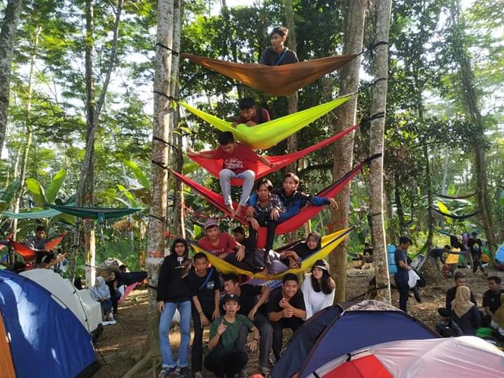 Menjelajah Hutan Albasia Kalimantan Barat: Keindahan Alam yang Tersembunyi