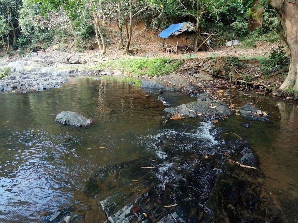 Jelajahi Keindahan Arus Alam Sungai Kembang di Kalimantan Selatan