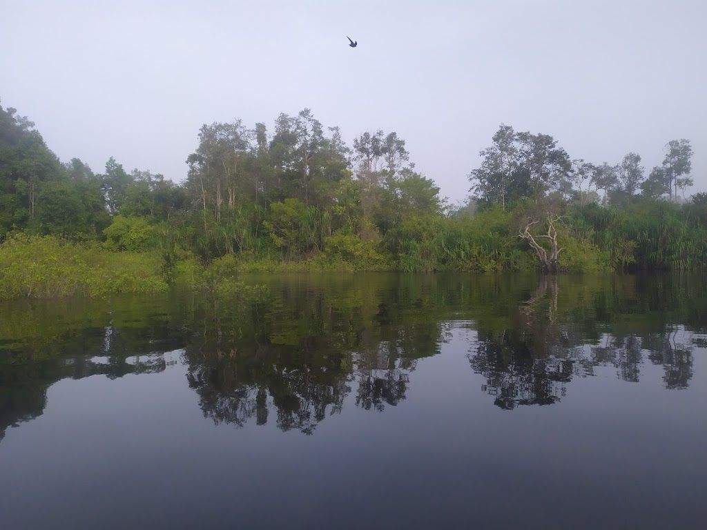 Jelajahi Pesona Wisata Alam Aro Aroy di Kalimantan Tengah