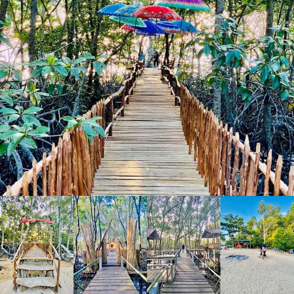 PANDANG TAK JEMU: Ekowisata Mangrove Batam yang Memukau