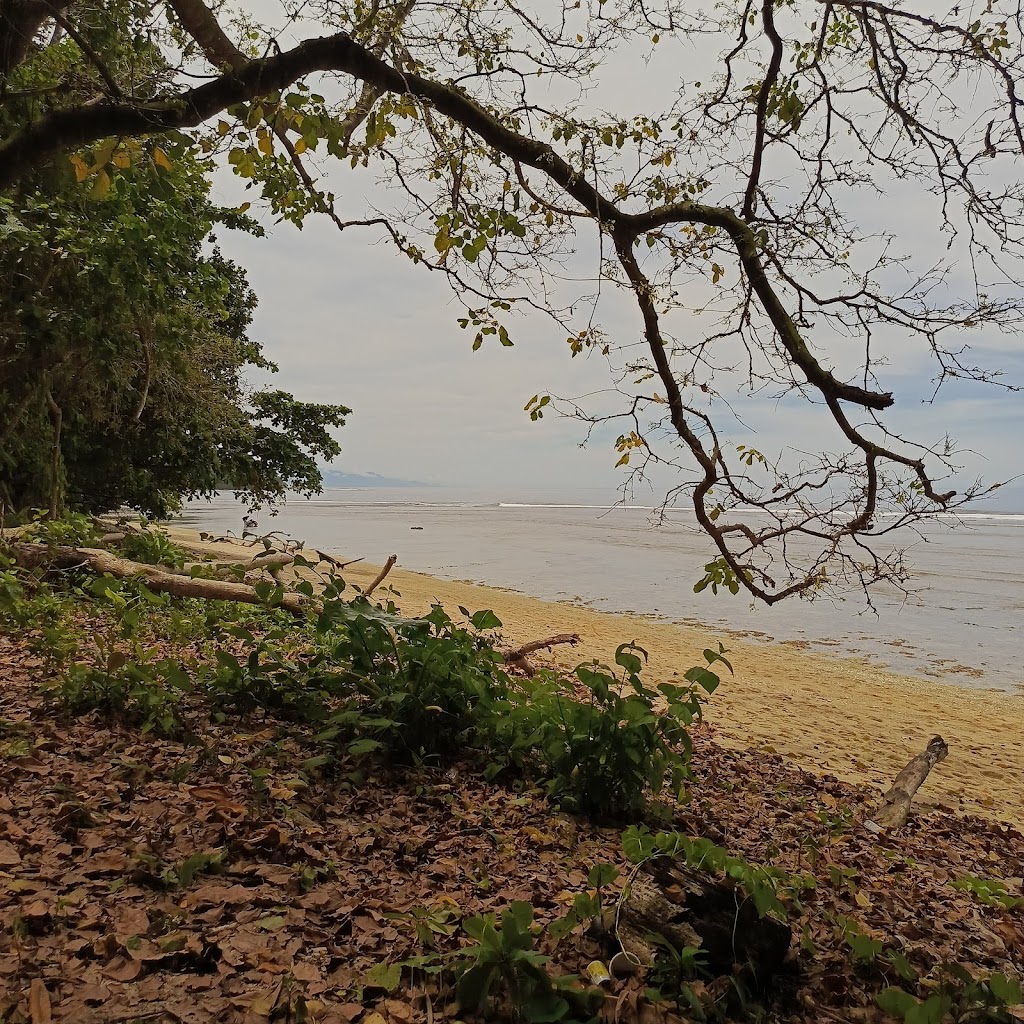 Pesona Pantai Yensum: Surga Tersembunyi di Papua Barat