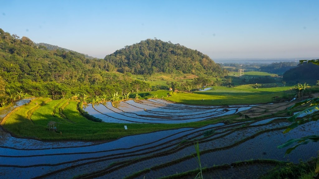Jelajah Desa Wisata Branjang: Pesona Alam di Kabupaten Semarang
