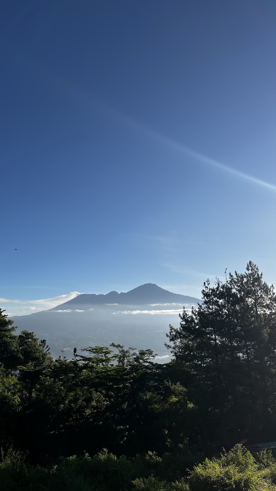 Kota Wisata Batu: Pesona Jawa Timur yang Memikat