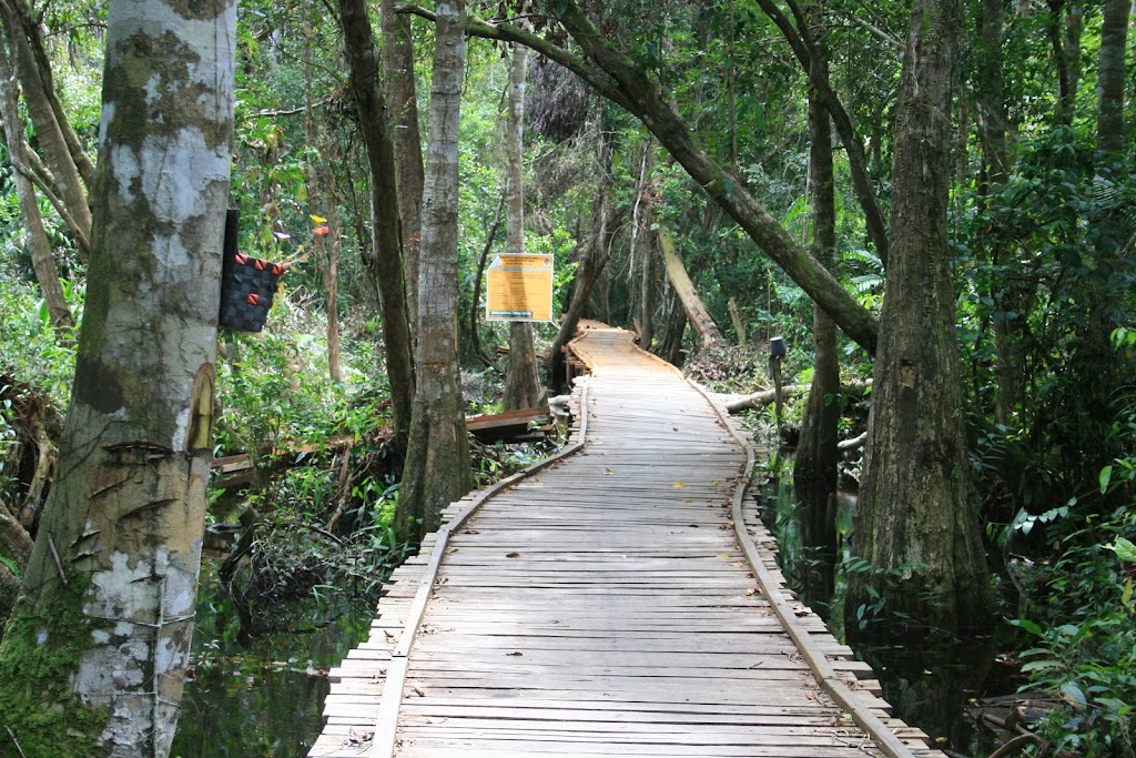 Jelajahi Pesona Alam Pasuha di Kalimantan Tengah