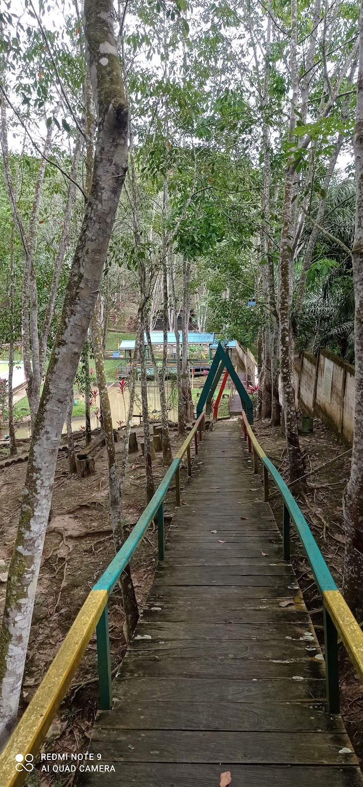 Jelajahi Keindahan Bukit Hijau Kandolo di Kalimantan Timur
