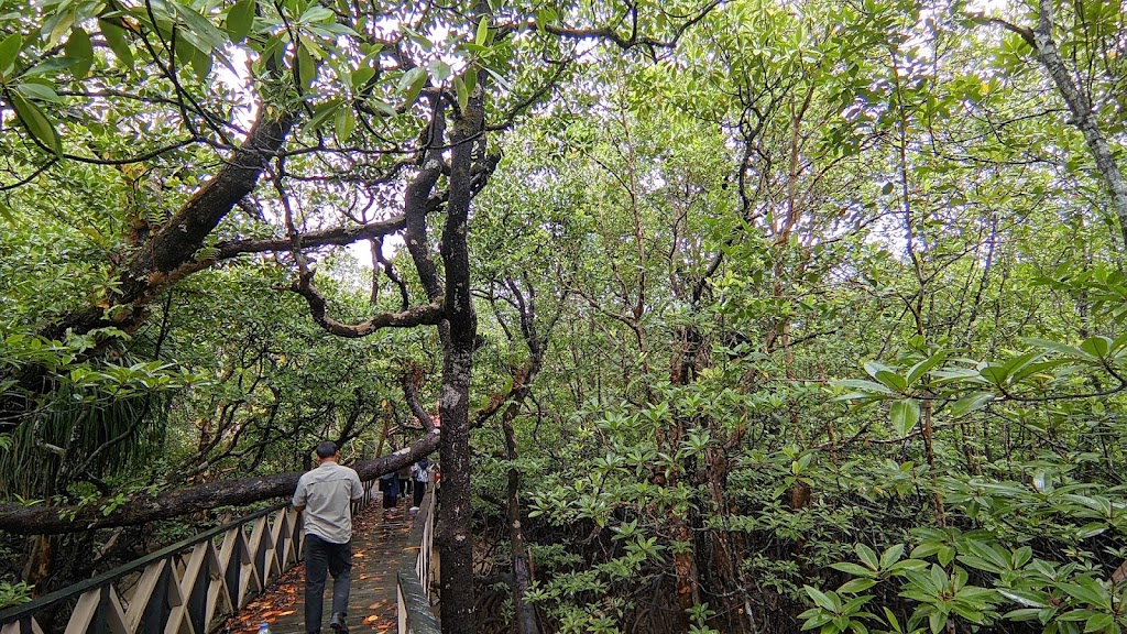 Jelajah Keindahan Wisata Alam Mangrove Ardimulyo, Kalimantan Utara