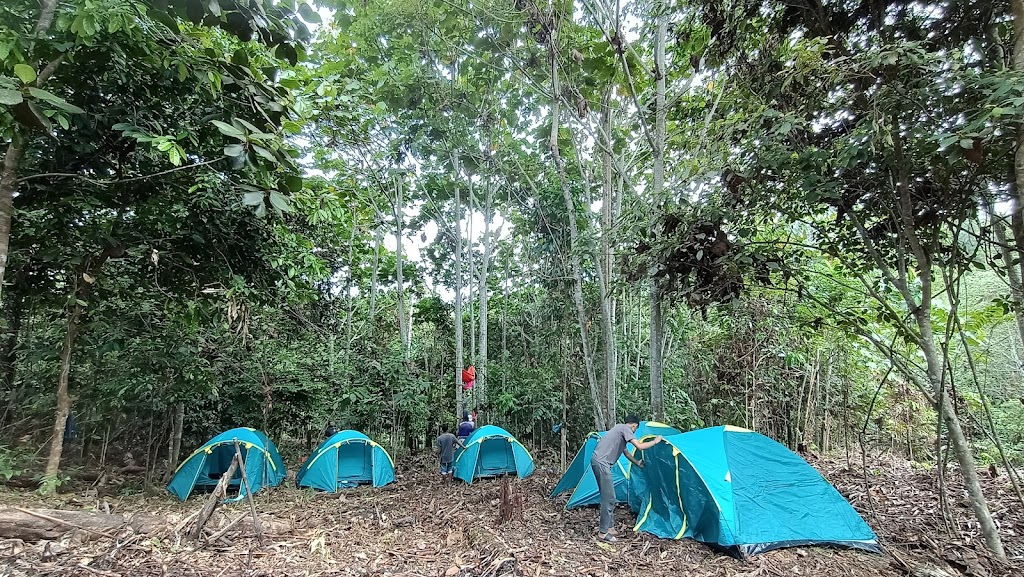 Jelajahi Keindahan Alam Borneo Floresta di Kalimantan Utara
