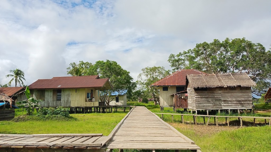Pesona Hahare, Kabupaten Asmat: Wisata Pemandangan Papua yang Memukau