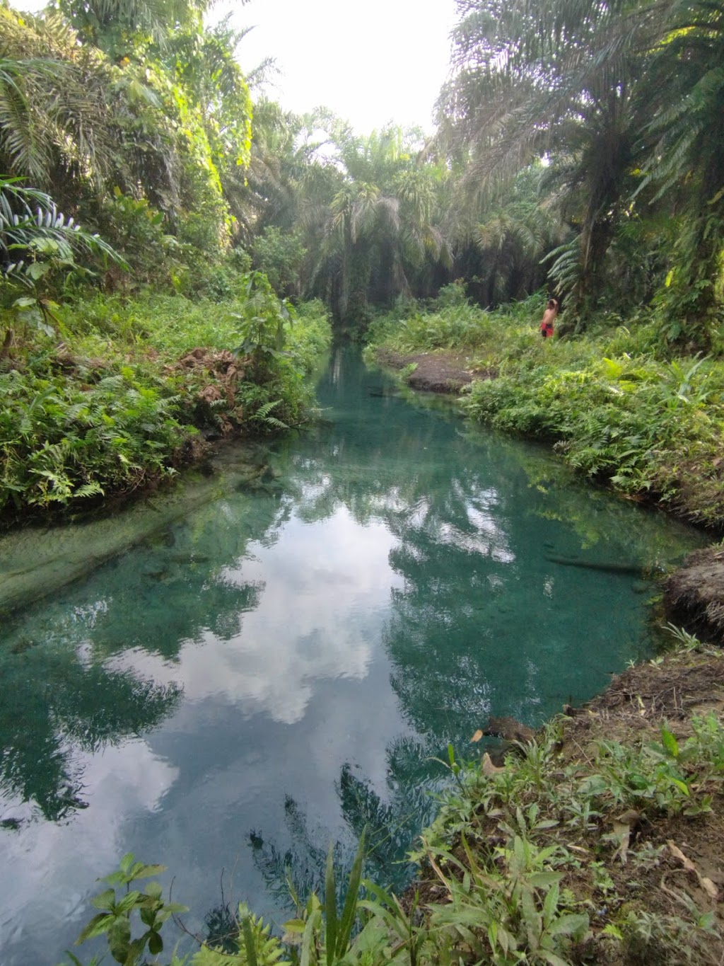 Pesona Kali Biru, Manokwari: Surga Tersembunyi di Papua Barat