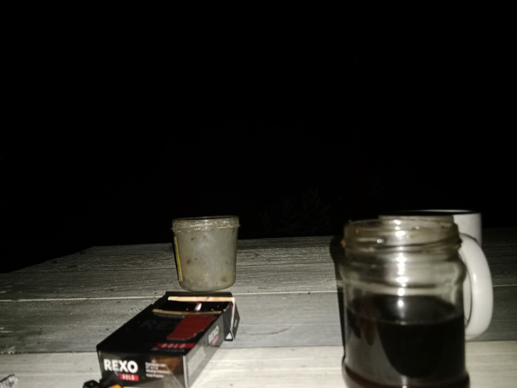 Jelajah Kais Darat Papua Barat Daya: Pesona Alam Tersembunyi di Teluk Bintuni