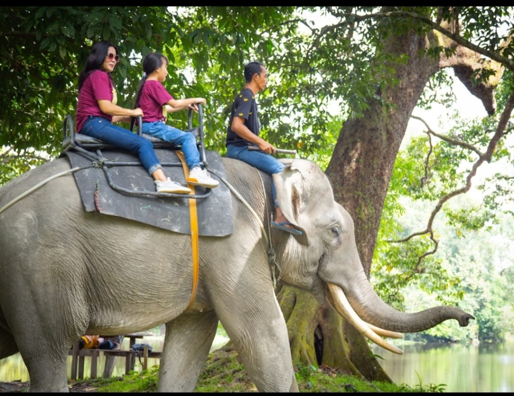 Jelajahi Taman Wisata Alam Buluh Cina: Pesona Riau yang Menawan