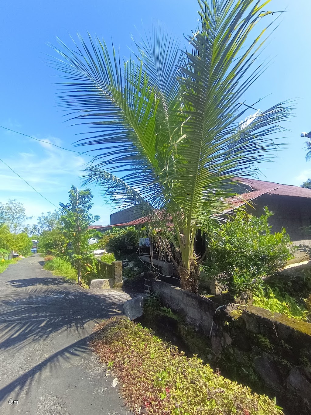 Pagimana, Sulawesi Tengah: Pesona Tersembunyi di Pesisir Banggai