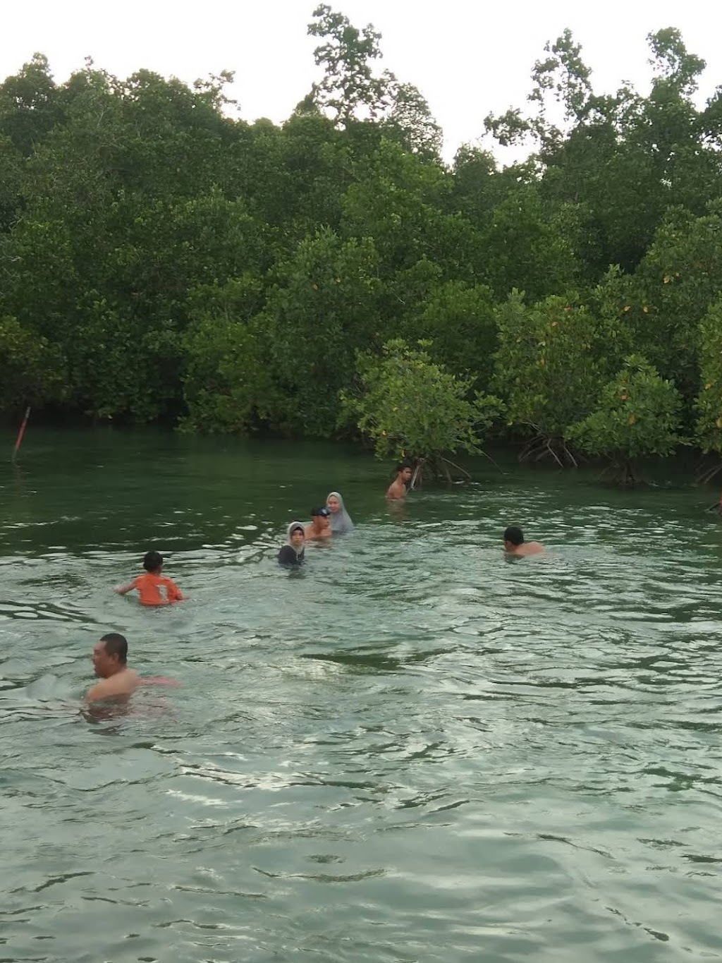 Pesona Kali Biru: Surga Tersembunyi di Kendari